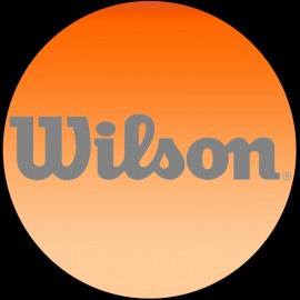 Wilson lopte